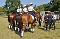 Polizeidirektion   150